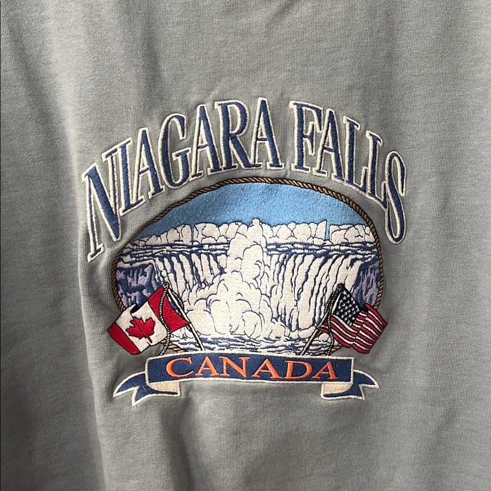 Gray Niagara Falls Graphic T-Shirt BRANDY